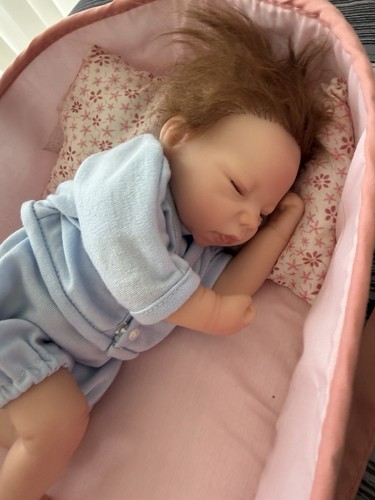Ashton drake reborn - reborn, doll