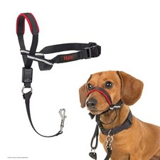 Licol HALTI Optifit Taille S Pour que votre chien arrête de tirer sur sa lais...