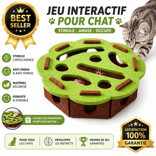 Jouet interactif pour chat - jouet,