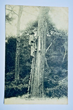 Arcachon 1907 un résinier 33