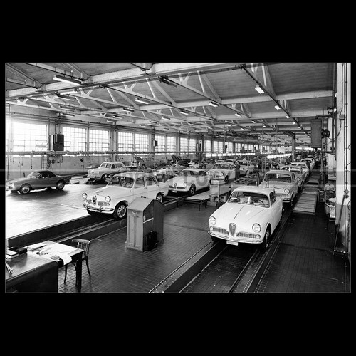 Photo 002531 alfa - photo, a.002531