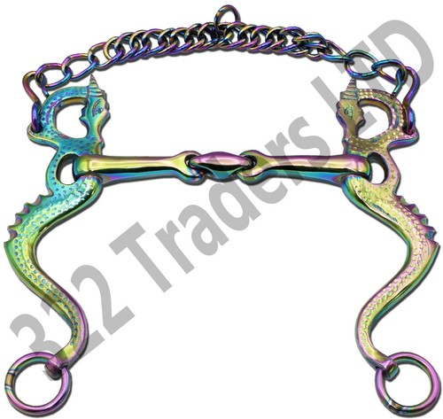Cheval dragon arc - arc-en-ciel, mors