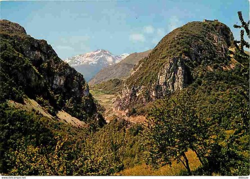 Carte postale - carte,