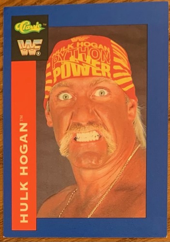 Hulk hogan super - hulk, hogan,