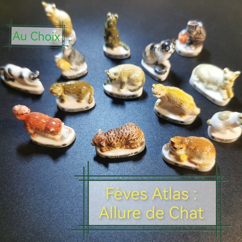 Choix fèves atlas - atlas, /