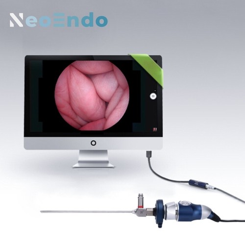 Medical portable endoscope - portable,