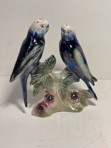 Couple perruche en - couple,
