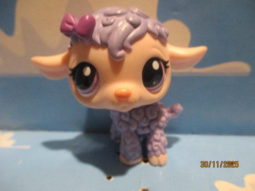Petshop mouton 1763 - petshop, n°1763