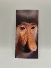 Nestlé MERVEILLES DU MONDE Carte N°409 "le nasique"