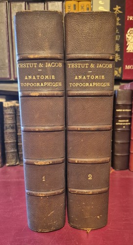 Traite anatomie - traite, d'anatomie