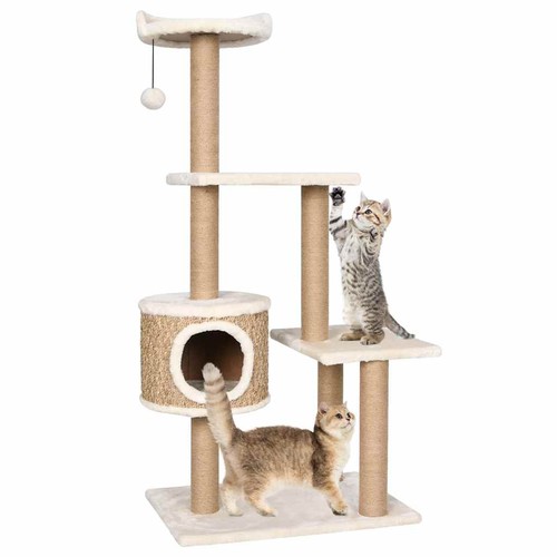 Arbre chat 123 - chat, de