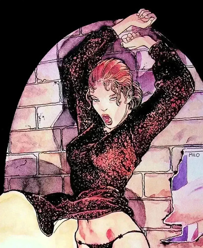 Milo manara loss - milo,