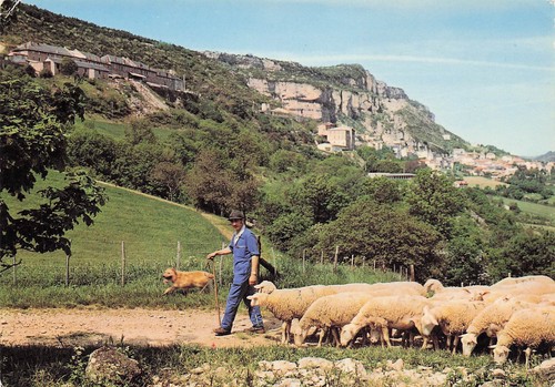 Roquefort sur soulzon - roquefort,