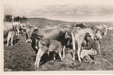 CPSM AUBRAC ET LAGUIOLE LA