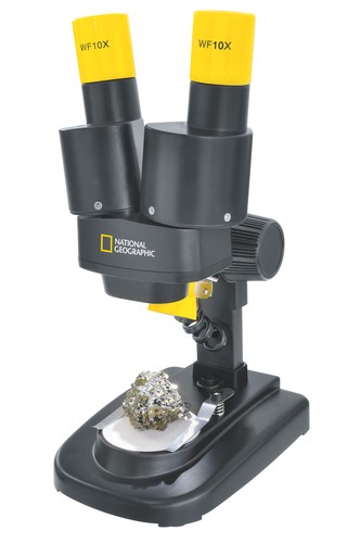 Microscope binoculaire