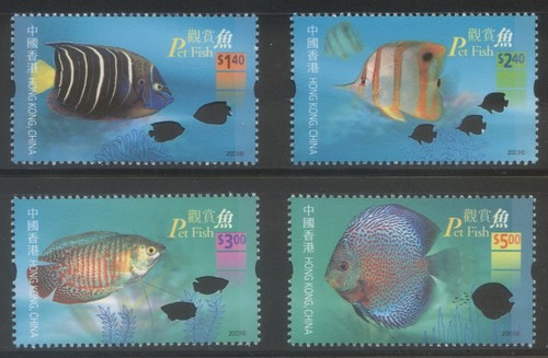 Hong kong 2003 - hong,