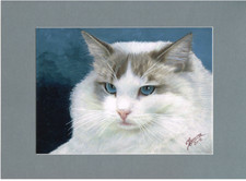 peinture aquarelle originale chat signé Francine avec certificat d'authenticité
