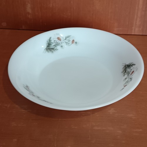 Grand plat creux arcopal - plat,
