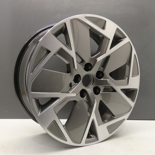 Genesis gv60 - 19, "