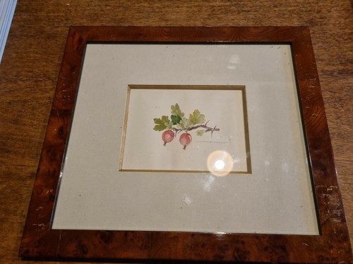 Jean adrien mercier aquarelle - mercier,