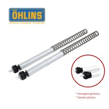 Ohlins Fork Ressorts FSK 100