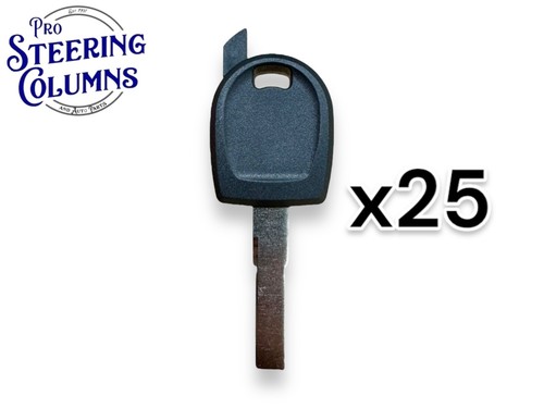 25x clé coque puce - 25x, hu66