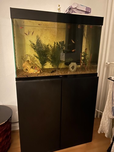 Vente aquarium ciano complet - aquarium,