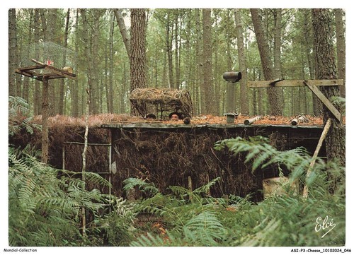 Asip3 0155 chasse - asip3-0155-chasse,