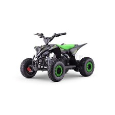 Quad T-REX Beneo Motors