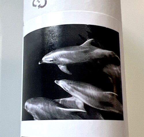 Ikea bjorksta dolphins - bjorksta, poster