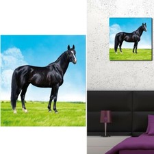 Cadre Toile Cheval