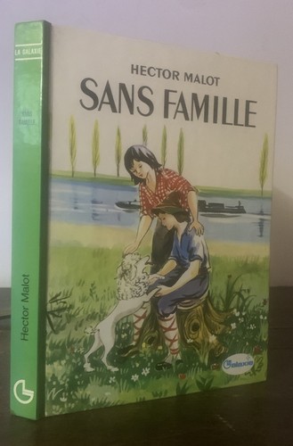 Hector malot sans famille - ,