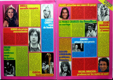 SHEILA RINGO_KAREN CHERYL_VARTAN_SARDOU_DAVE =  COUPURE DE PRESSE 4 PAGES 1976