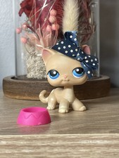 🌟🌟Petshop Chat