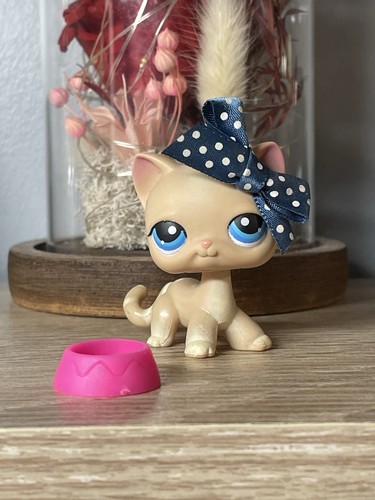 Petshop chat - 🌟🌟petshop,