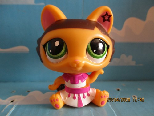 Petshop danseur chat sphynx - danseur,