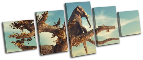 Elephant tree desert - elephant,