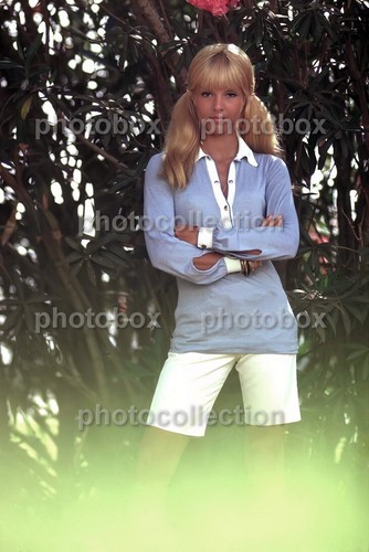 Sylvie vartan exclusive - sylvie,