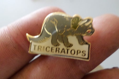 Joli pin broche insigne - pin,