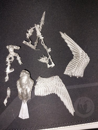 Warhammer wood elf hawk - elf, rider