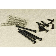 Kit Vis Humbucker 4x0.85x30mm 4x2 contours micros+ressorts Screws Springs Black