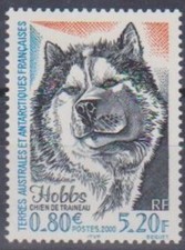 Timbre TAAF 265** neuf sans charnière