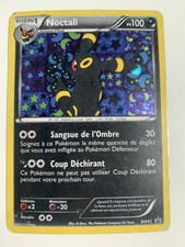 Noctali Holo BW93 2013 FR