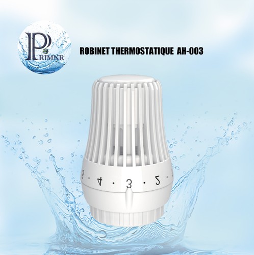 Tête thermostatique robinet