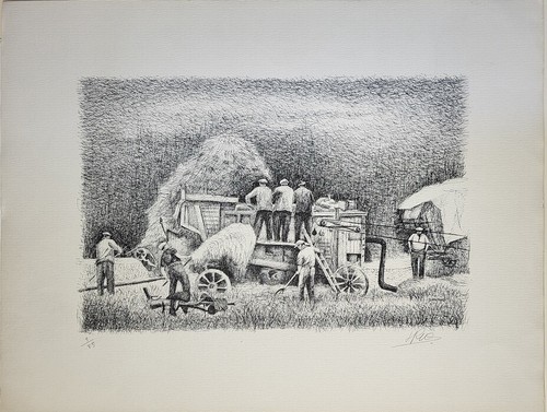 Siramy litho fenaison - fenaison, en