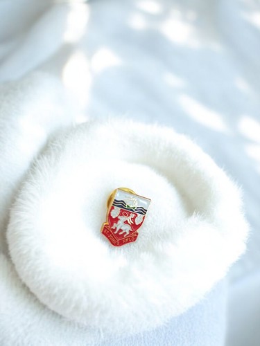 Pin blason ancien - blason,