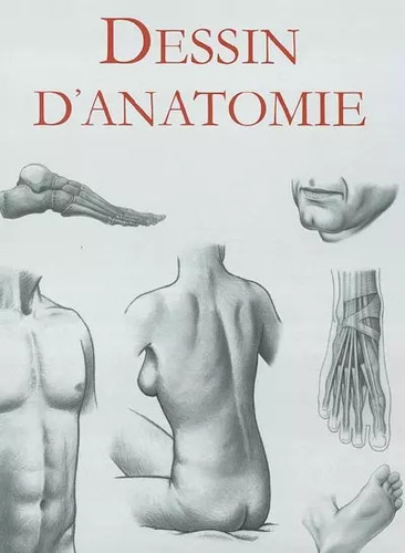 Dessin anatomie michael - dessin,