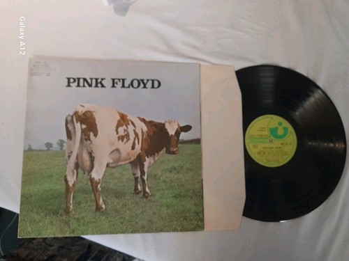 Pink floyd atom - pink, /