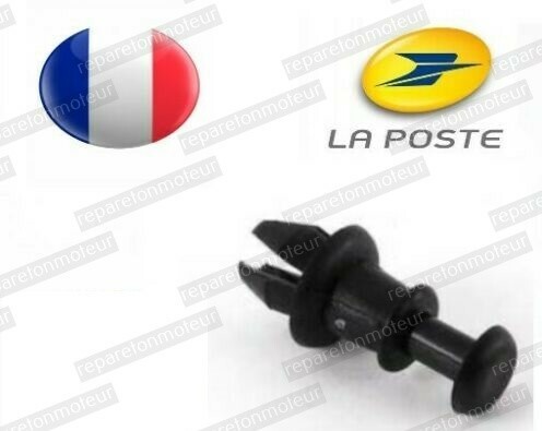 Pcs clip fixation - pcs, plage