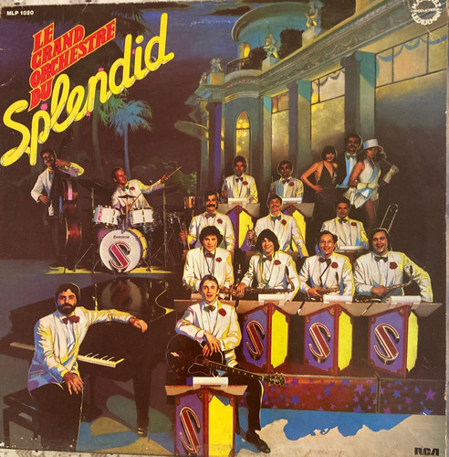 Disque vinyle trs - vinyle, le